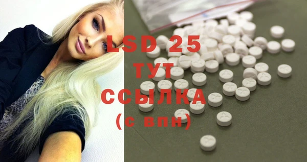 стаф Магас