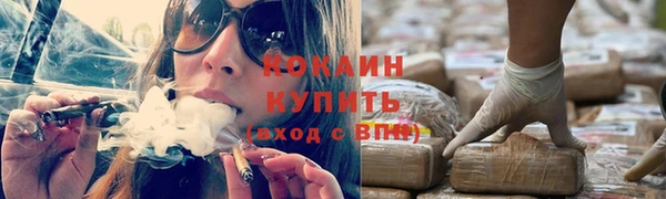 стаф Магас