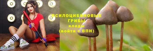 ешки Магадан
