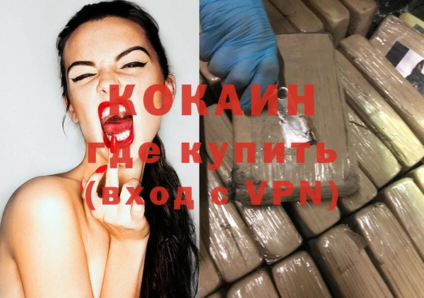 стаф Магас