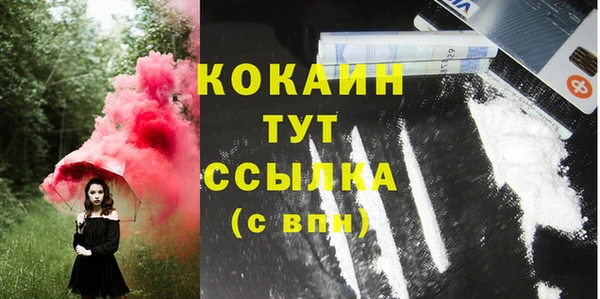стаф Магас