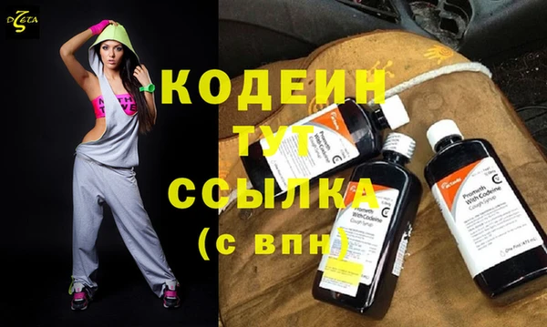 стаф Магас