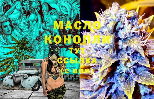стаф Магас