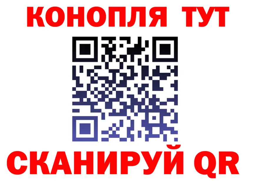 A-PVP СК КРИС как зайти маркетплейс OMG Лесосибирск