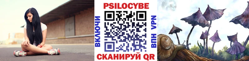 нарко площадка наркотические препараты  где можно купить наркотик  Лесосибирск  Псилоцибиновые грибы Psilocybe 