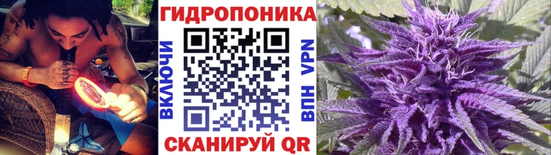Канабис планчик  где продают   Лесосибирск 